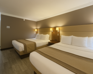 hotel universel suites 2 lits queen